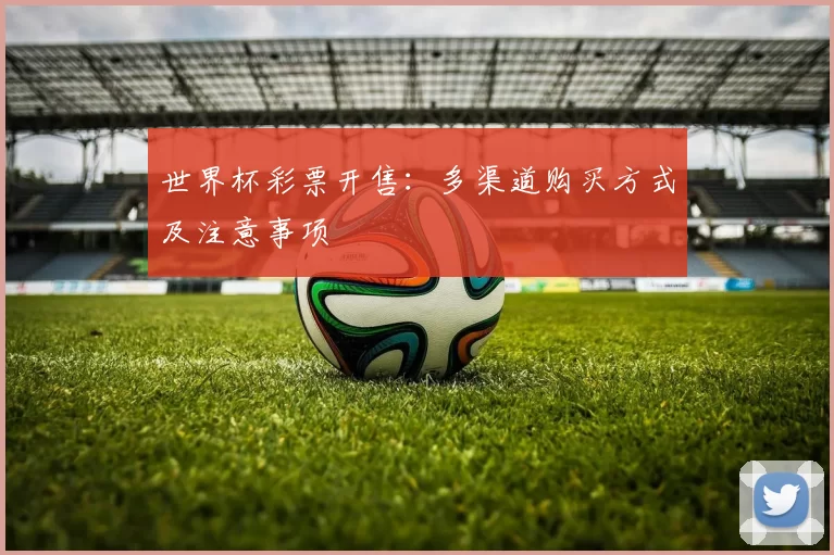 世界杯彩票开售：多渠道购买方式及注意事项