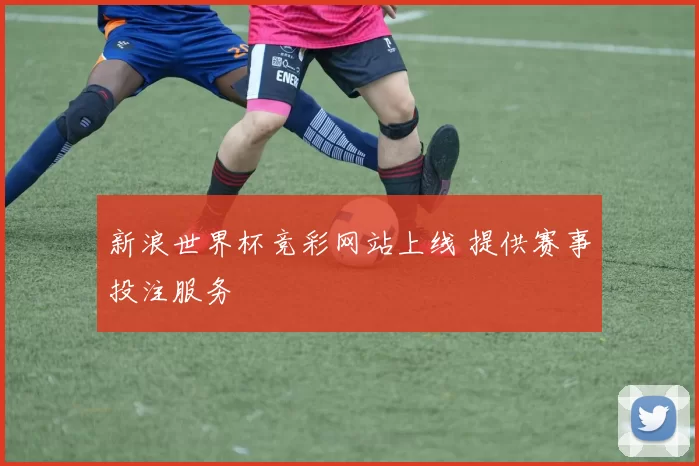新浪世界杯竞彩网站上线 提供赛事投注服务