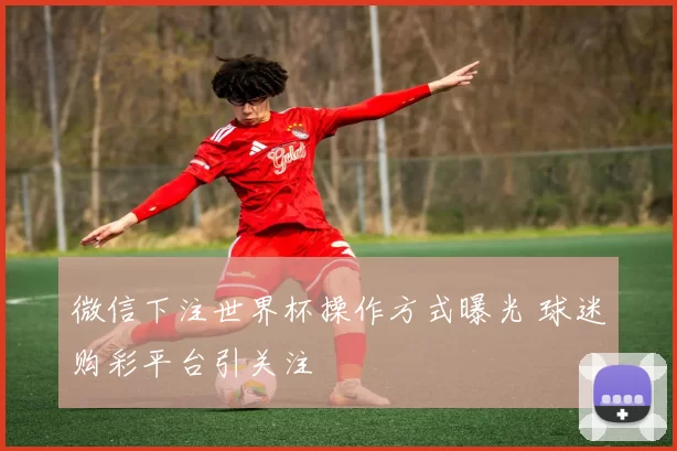 微信下注世界杯操作方式曝光 球迷购彩平台引关注