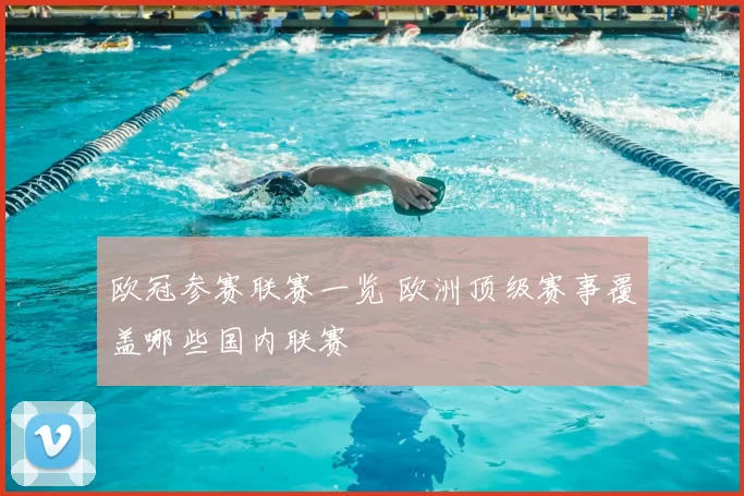欧冠参赛联赛一览 欧洲顶级赛事覆盖哪些国内联赛