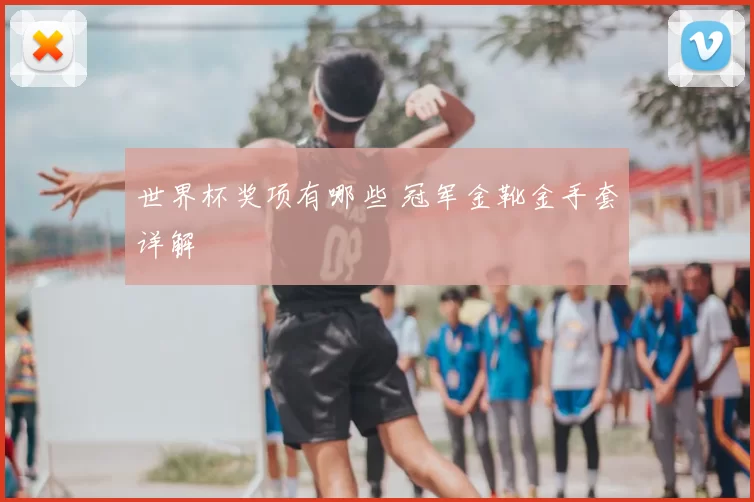 世界杯奖项有哪些 冠军金靴金手套详解
