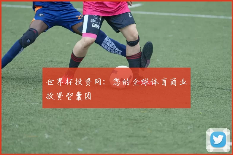 世界杯投资网：您的全球体育商业投资智囊团