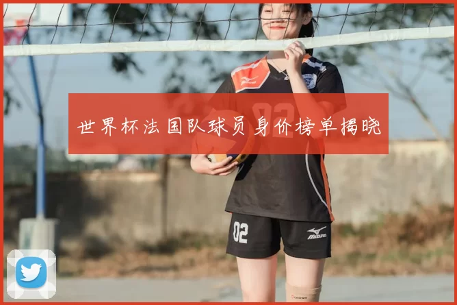 世界杯法国队球员身价榜单揭晓