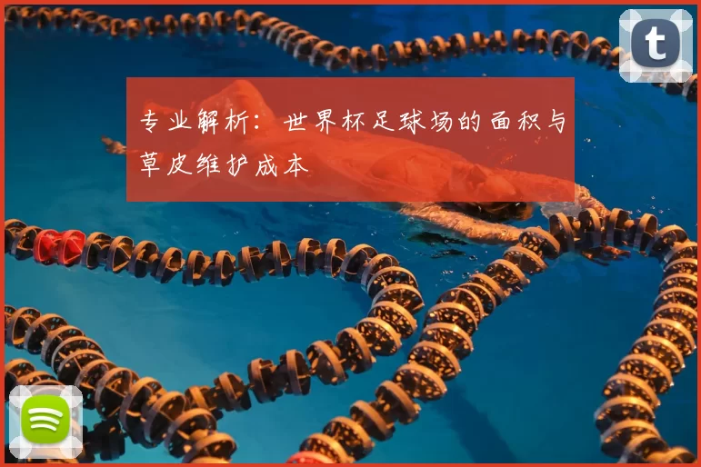 专业解析：世界杯足球场的面积与草皮维护成本