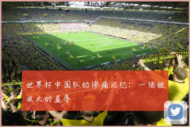 世界杯中国队的惨痛记忆:一场被放大的羞辱