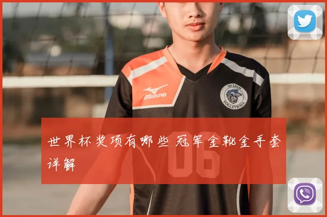 世界杯奖项有哪些 冠军金靴金手套详解